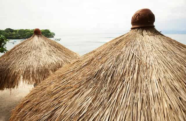 Kamış Çatı