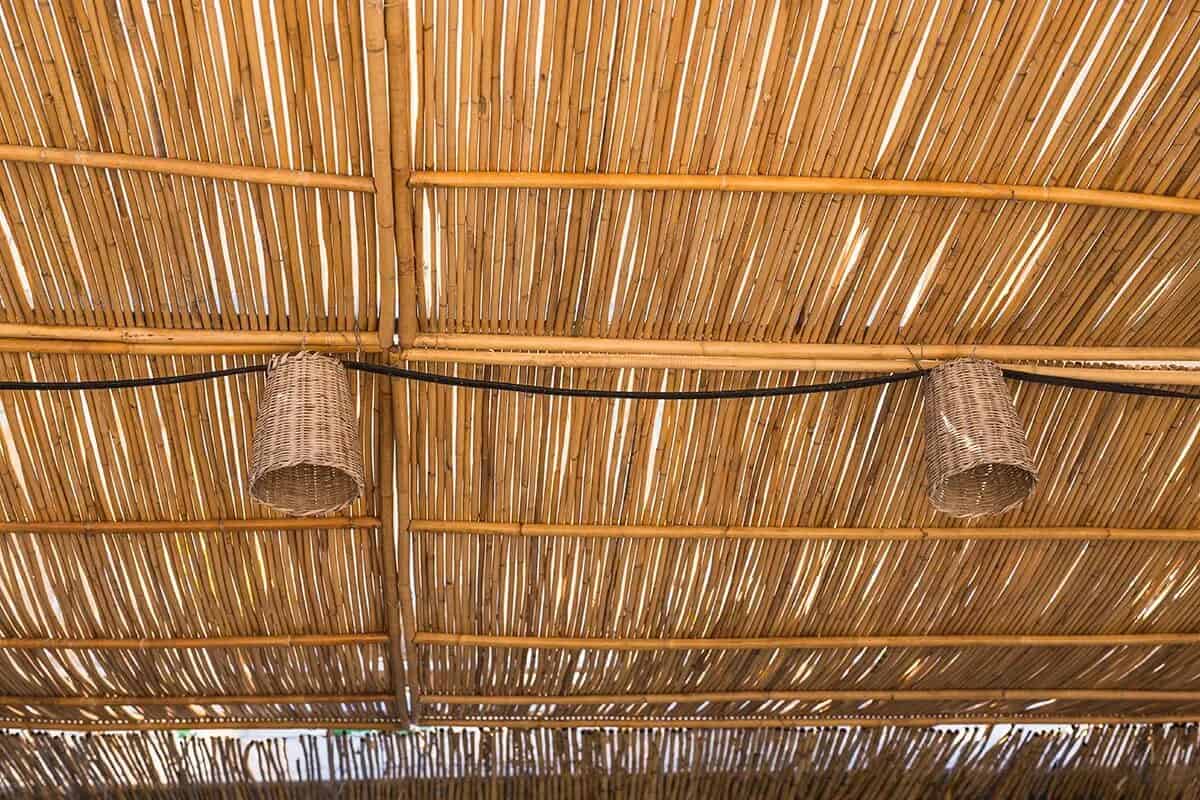 Bambu Çatı