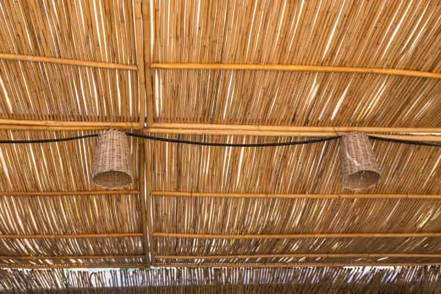 Bambu Çatı