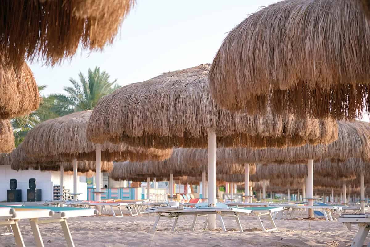 Kıbrıs Hasır Dekorasyon