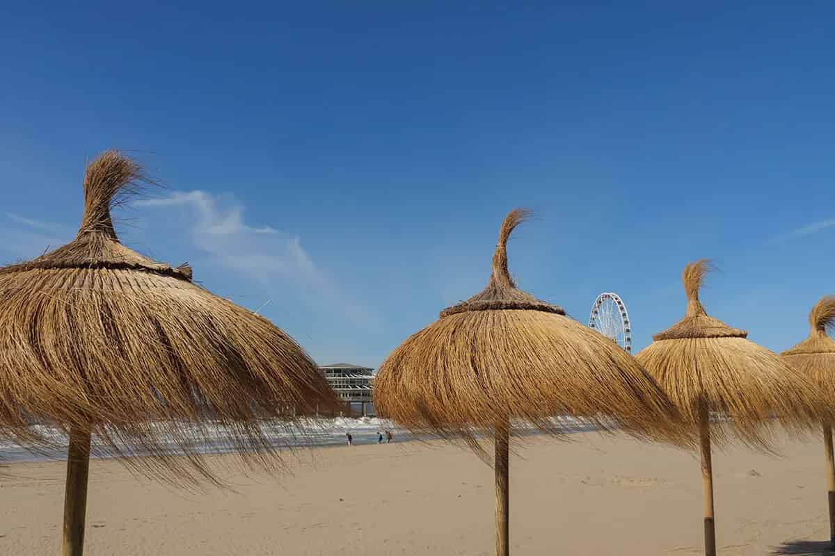 Kıbrıs Hasır Dekorasyon