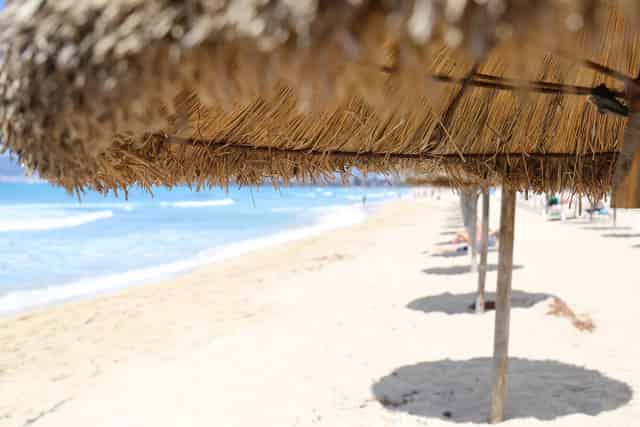 İstanbul Hasır Dekorasyon