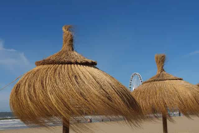 İstanbul Hasır Dekorasyon