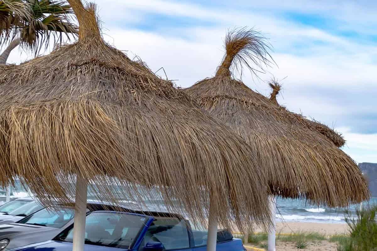 Antalya Hasır Dekorasyon