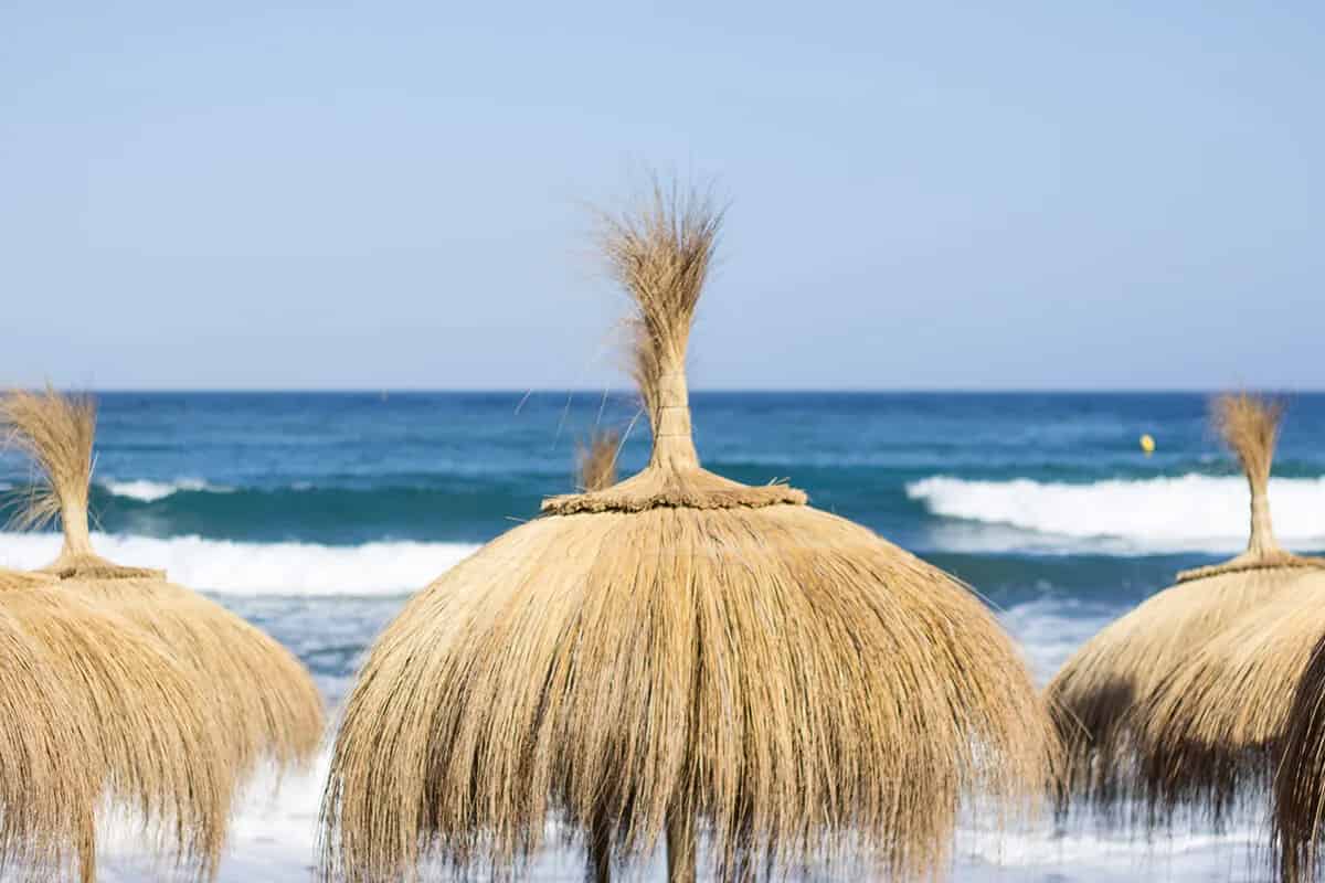 İstanbul Hasır Dekorasyon